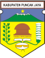 Kabupaten Puncak Jaya